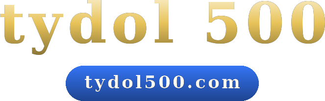 tydol 500 logo